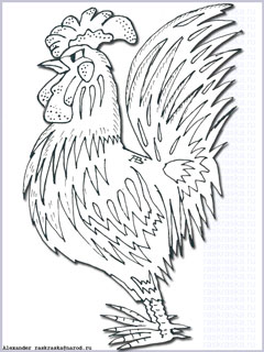 rooster outline image raskraska for print