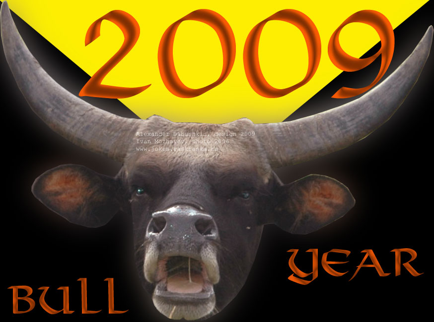 Year of the Bull cards