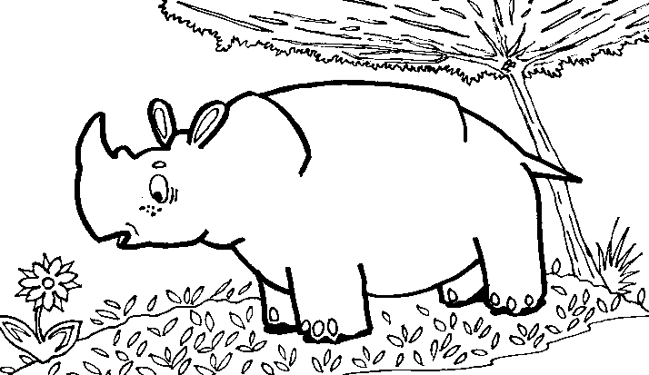 drawing of rhinoceros