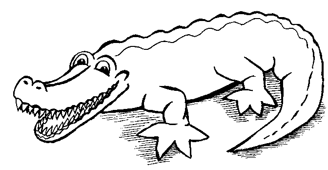 drawing of crocodile