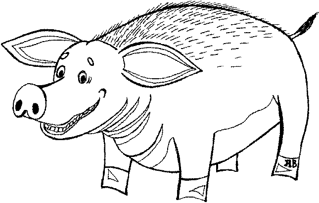 drawing of pig