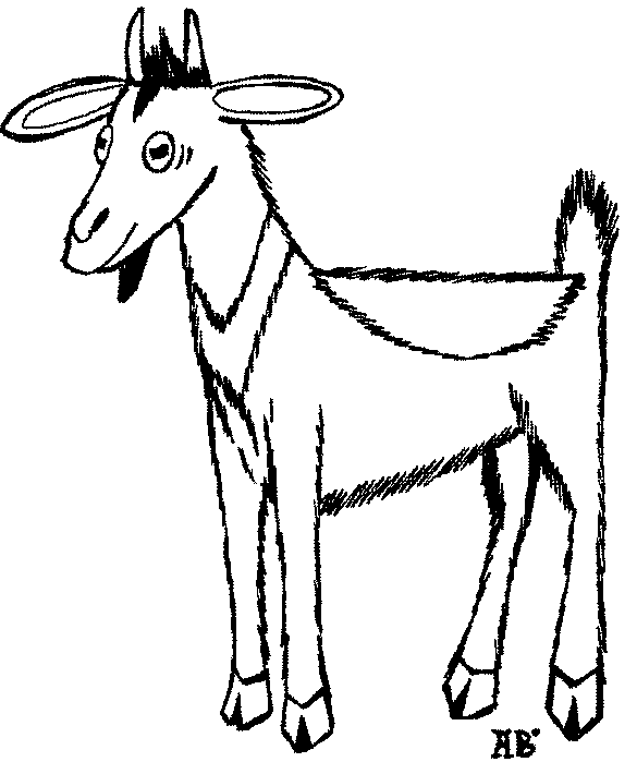 outline drawing of goat