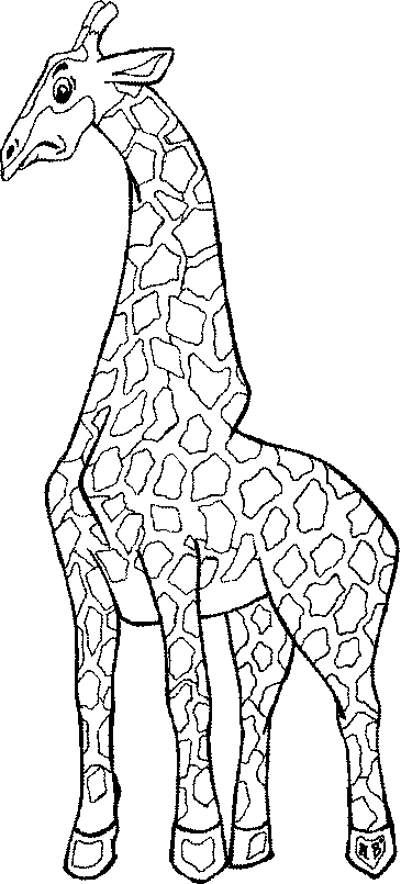 Стоковые векторные изображения по запросу Жираф раскраски