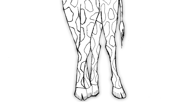 контурное изображение жирафа