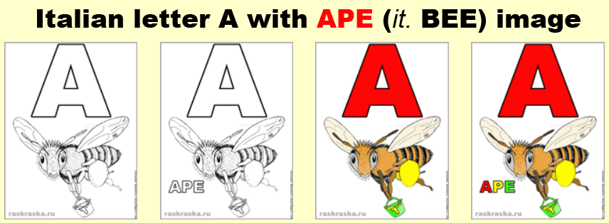 italian letter A with ape bee picture for print