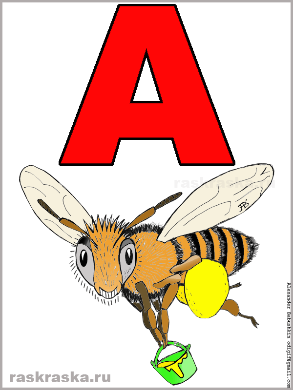 color italian letter A with ape bee picture