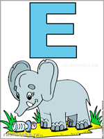 Italian letter E with elefant colour image