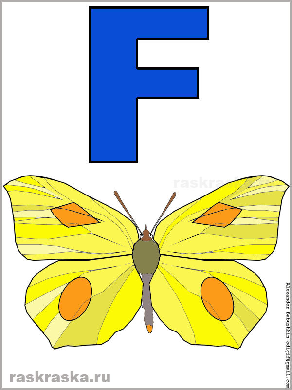 color italian letter F with farfalla image