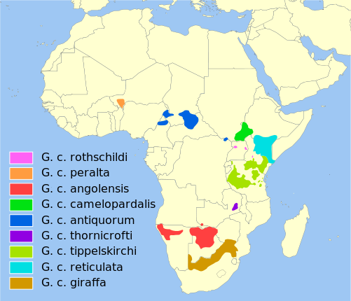 Range map of the giraffe divided by subspecies