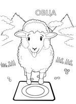 овечка овца / ewe