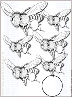 шесть пчёл