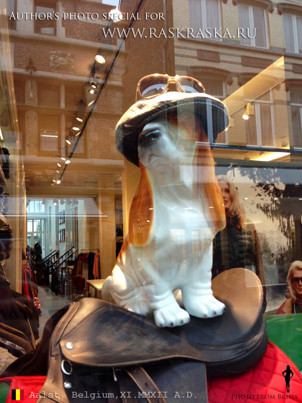 Window in the Dogs shop