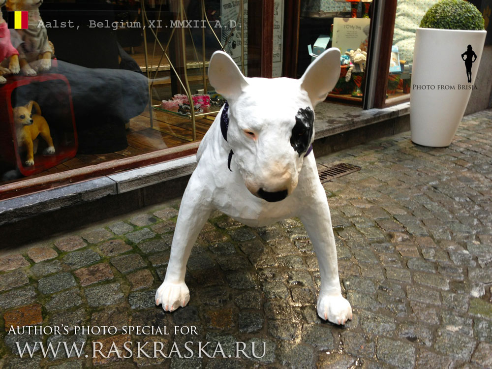 Bull Terrier dog sculpture around the Dogs shop