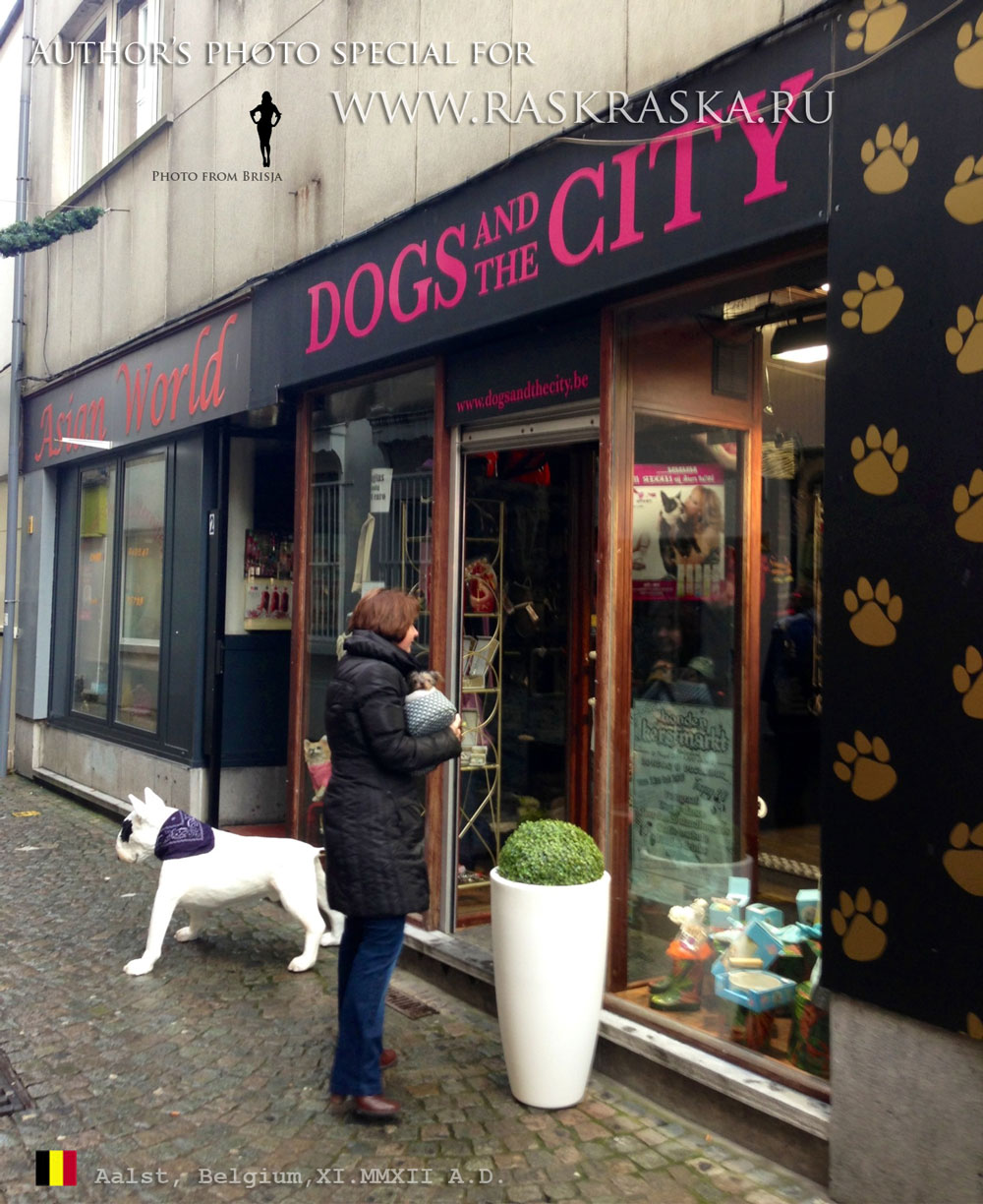 магазины для собаководов в Бельгии