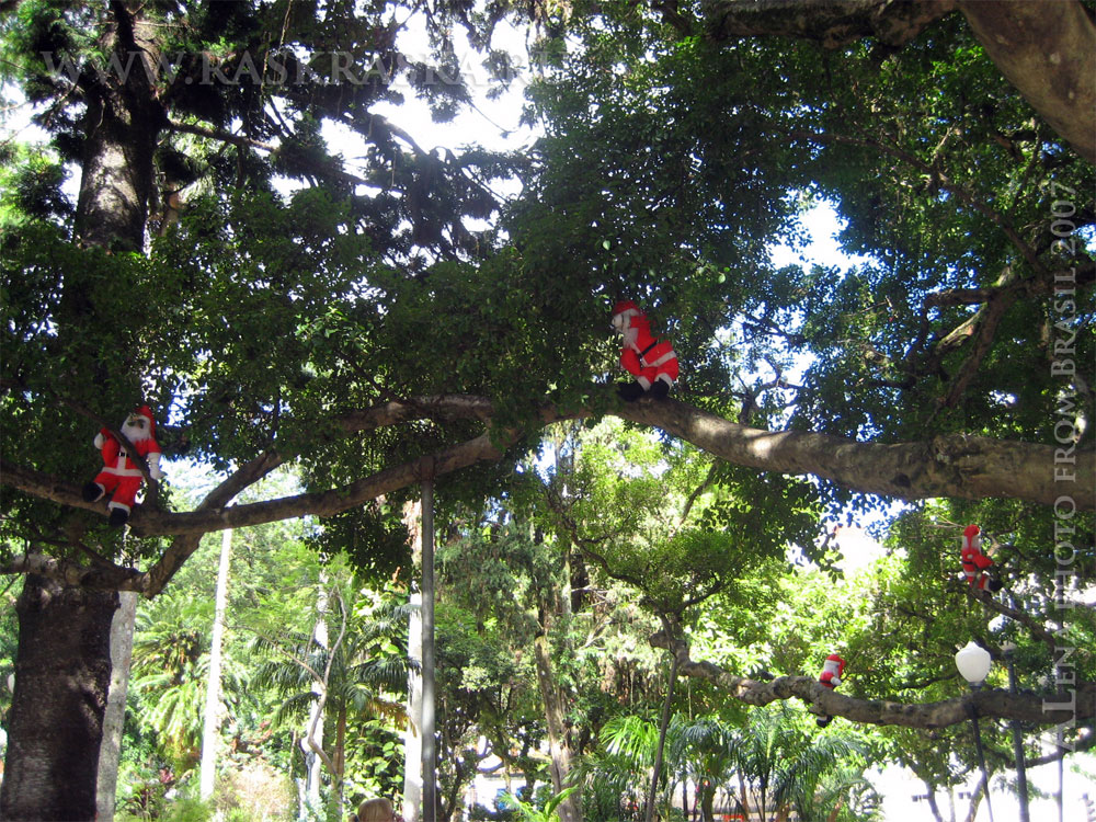 Christmas in Rio