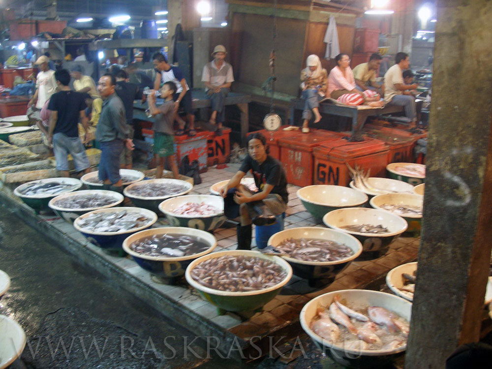 рыбный рынок в Джакарте фото фотография фотографии