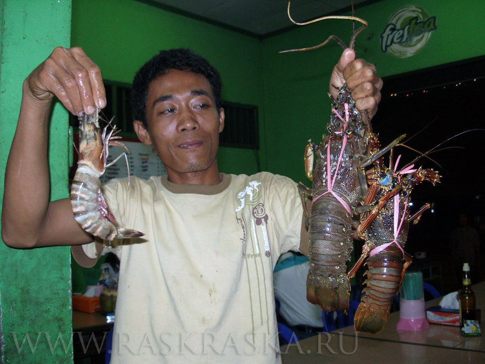 рыботорговец на рыбном рынке в Джакарте фото фотография фотографии торговец рыбой