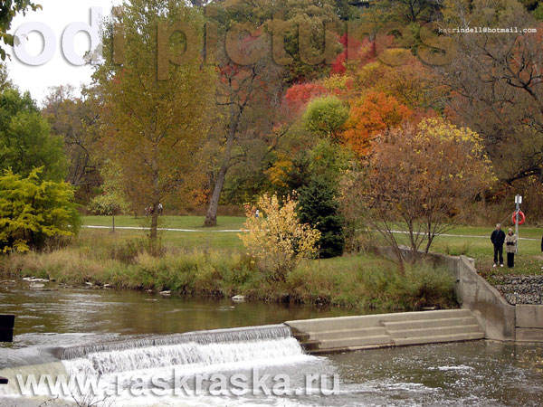 park in Mississauga