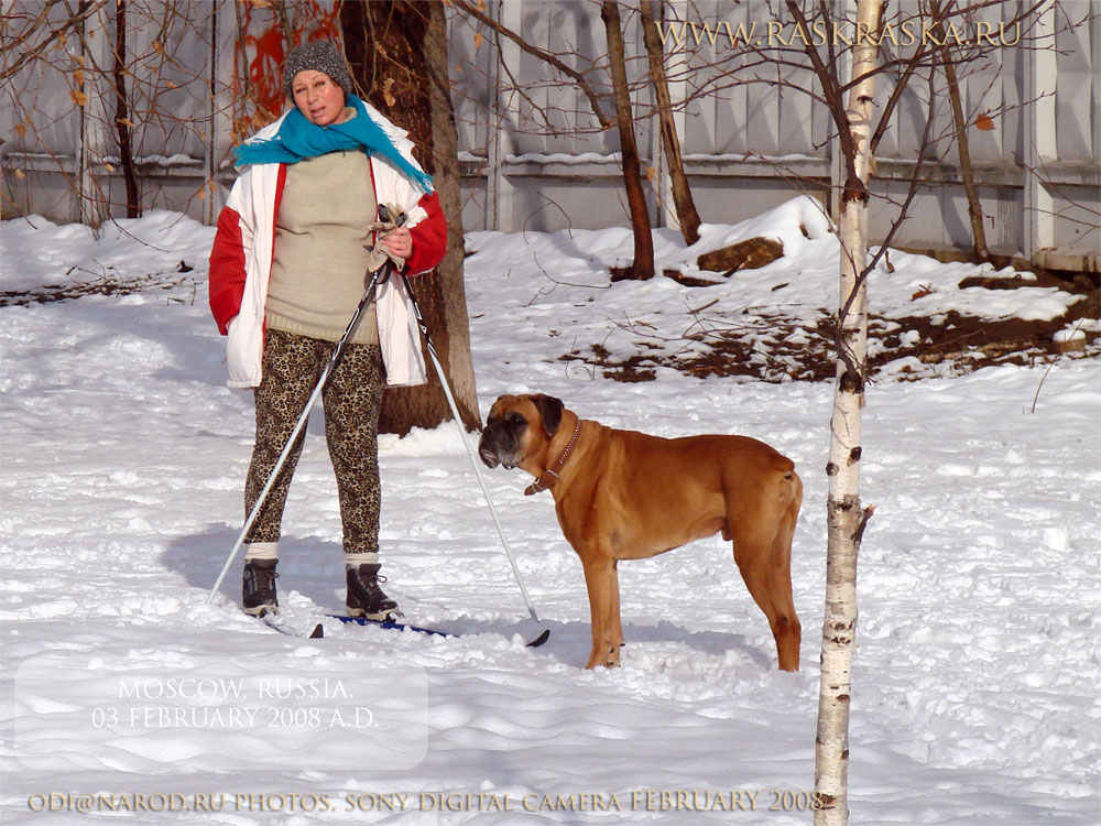 Русская женщина на лыжах с собакой