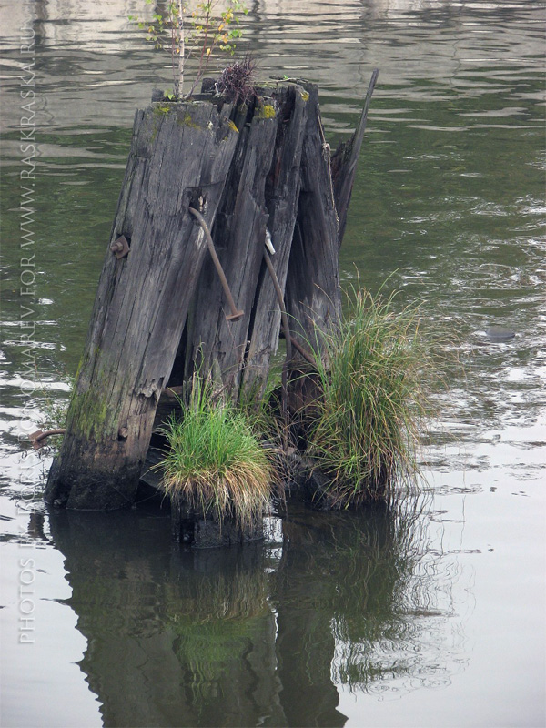 Auf dem Fluss