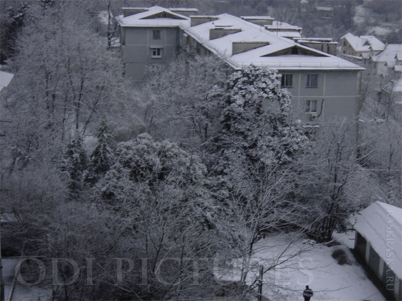 wintry day in Sochi