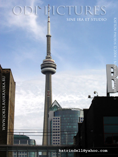 башня в Торонто