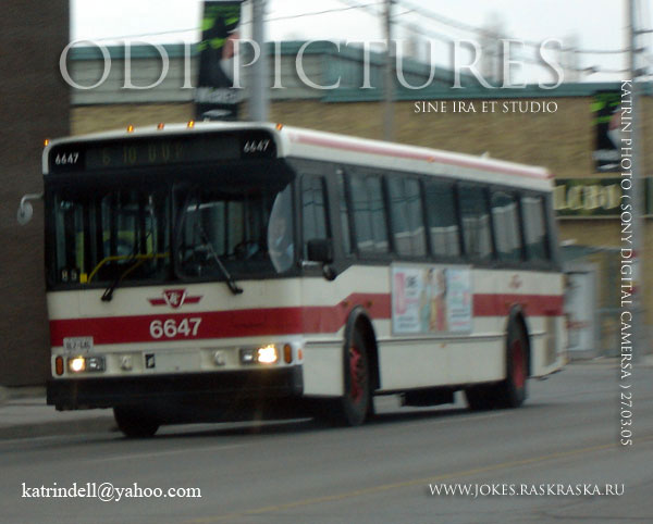 городской автобус, city bus