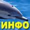 информация о дельфине