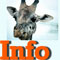 giraffe info