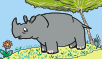 rhinoceros rhino