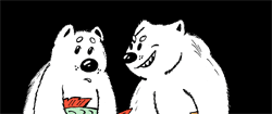 белые медведи / polar bears