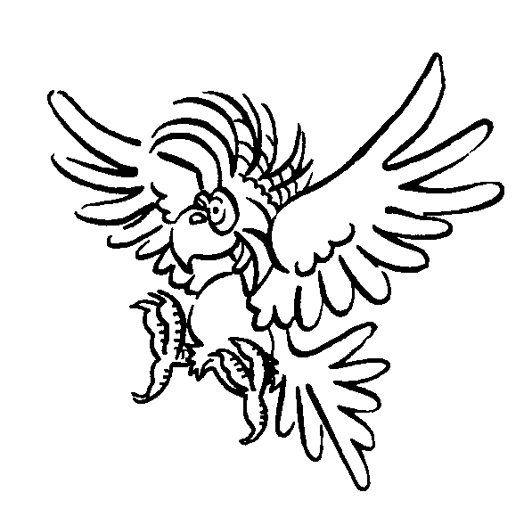parrot outline picture for print and coloring on the Raskraska
