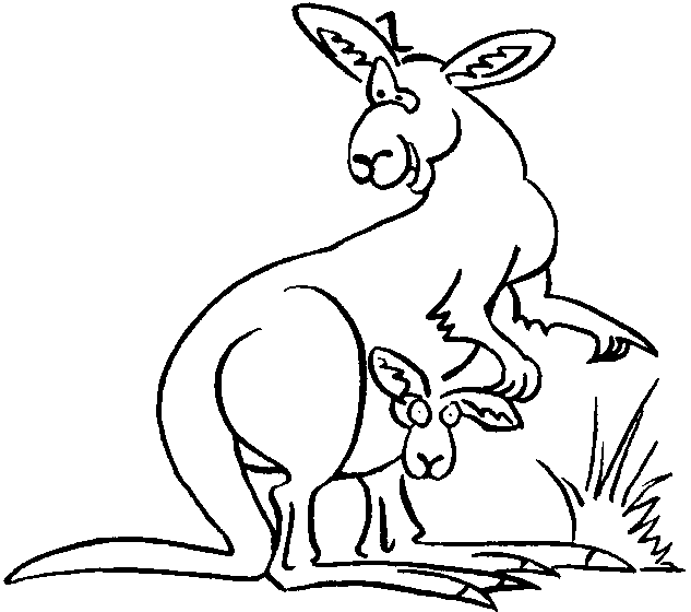 Kangaroo outline picture for print and coloring raskraska