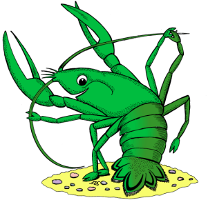 Речной рак / Crayfish