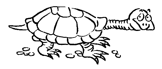 Tortoise outline picture for print and paint raskraska