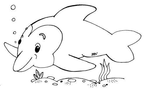 дельфин dolphin раскраска